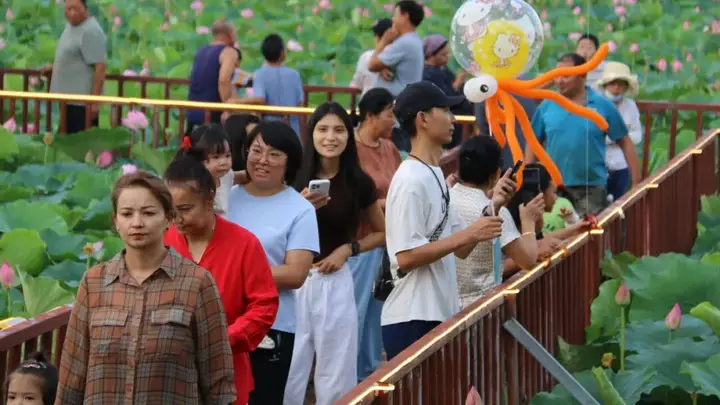 荷花开了!博乐这场夏日限定又来了→