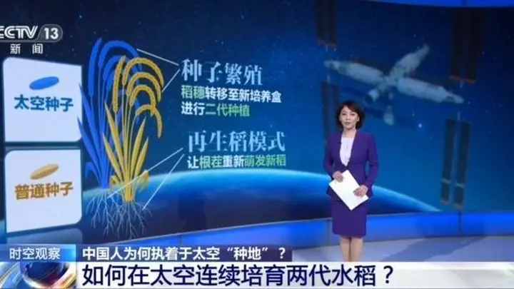 中国空间站太空菜园新进展 2023年起两套栽培装置启幕 后续将种小麦胡萝卜