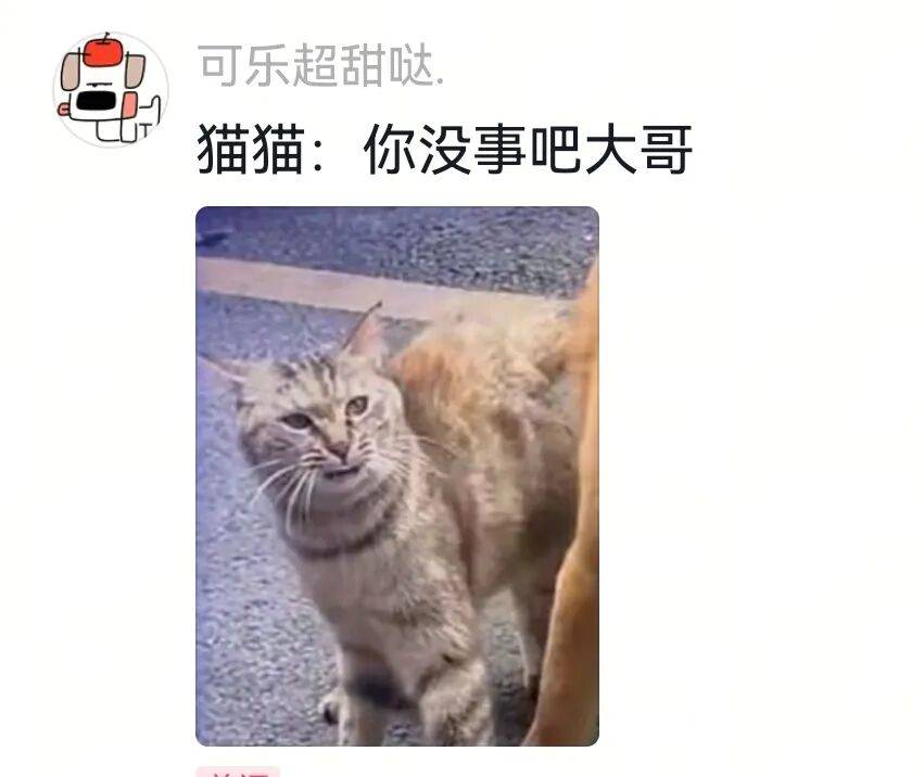 狗将鸡咬死后倒地不起，狗主人猛扇十个巴掌后狗子依旧不动…评论区劝狗主人不要再打了，狗子好像有一点si了…狗主人：这招也就骗骗你们…