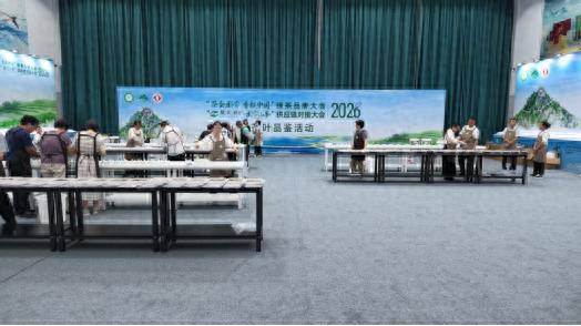 在全国绿茶巅峰对决中摘双奖 山东茶企圣谷山“南方突围”的制胜之道何在？
