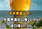 中国啤酒出口下降进口增长半年数据揭示市场变化