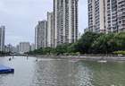 从远观到近玩,苏州河龙舟赛首次开放桨板体验,苏州河蝶变看得见