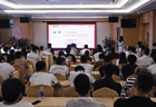 重庆荣昌“蜂糖李”抢鲜上市,“2026多多好特产”助力川渝水果供应链升级