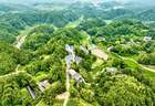 宽阔：清凉夏日引川渝“候鸟”归巢