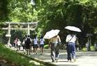 日本景点“双重票价”，为何让国际游客和本国人都怒了？
