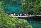 九寨沟湖水靠颜料染色？回应来了