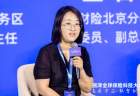 北京丽泽金融商务区管理委员会副主任康泰胤：三重优势构筑产业沃土，丽泽以全链条创新打造科技保险先行样板