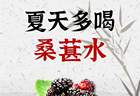 7月15日「桑葚养生搭配分享会」在石泉举办，8款创意款解锁夏日健康新吃法