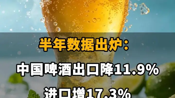 中国啤酒出口下降进口增长半年数据揭示市场变化