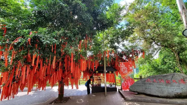 夏季避暑出游攻略：5大实用技巧助你清凉一夏
