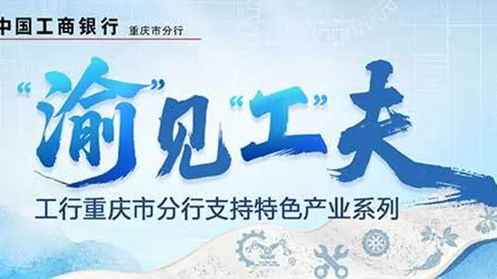 “渝”见“工”夫丨一根绣针下的“锦绣”新生