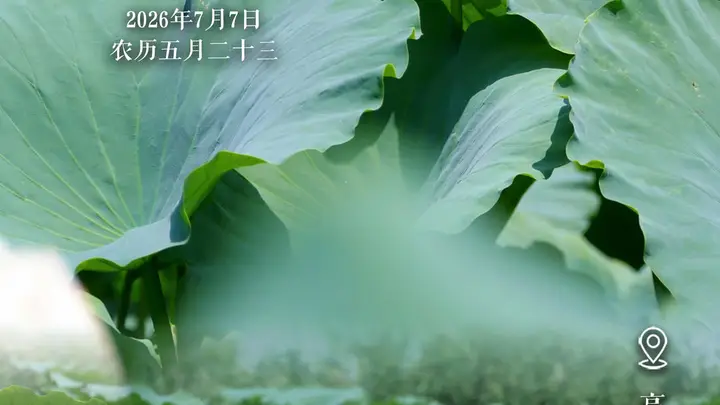文旅节气海报｜小暑至，荷风起，天鹅湖万亩荷塘藏清凉