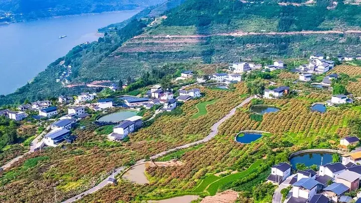 云阳县巴阳村：非遗体验地 田园趣无限