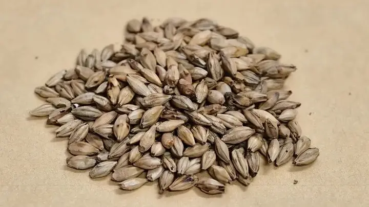 “泡茶搭子”,消食化积还能疏肝行气