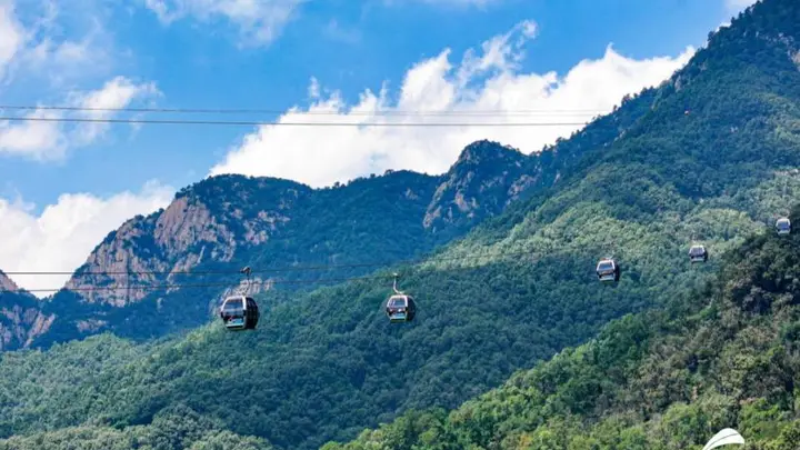 三伏登泰山 赴一场翠林云海清凉之约