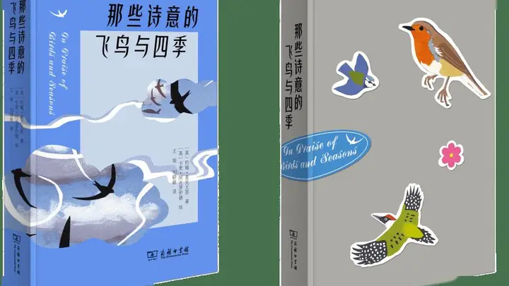“这本书让我放下手机,看了整整一上午鸟……”
