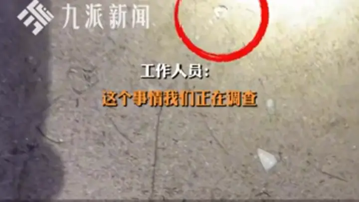 三亚一沙滩现大量图钉,官方回应:公安已介入,涉事区域图钉已基本清理完毕