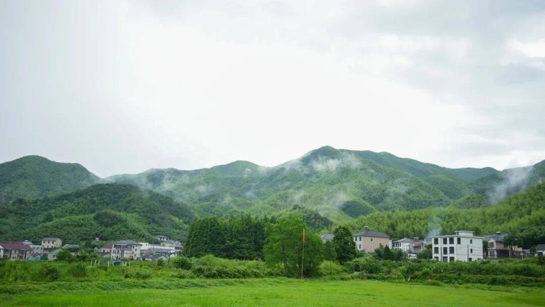 你好，勤劳村｜莫干山深处，藏着一座被低估的山水古村～