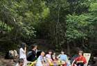 2026武夷山选旅行社，避开这3个坑就对了