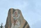 乌蒙云上，心随草阔