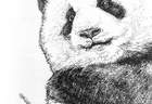 翻开红山的四季与晨昏（序与跋）