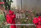 湖南370万元消防维修后即现隐患 消防管漏水水箱失压多方回应