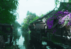 重返杭州：恋上这座江南烟雨梦都