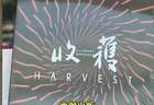 当新媒介重塑文学生态，如何将经验转化为有力量的作品