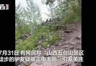 五台山有驴友疑被雷电击倒？当地回应