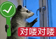 要是有人在我备孕的时候,告诉我这些就好了!