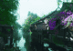 重返杭州：恋上这座江南烟雨梦都