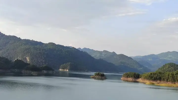 千年茶韵遇上现代匠心——乌江两岸女贞丸与传统苦丁茶的“隔空对话”