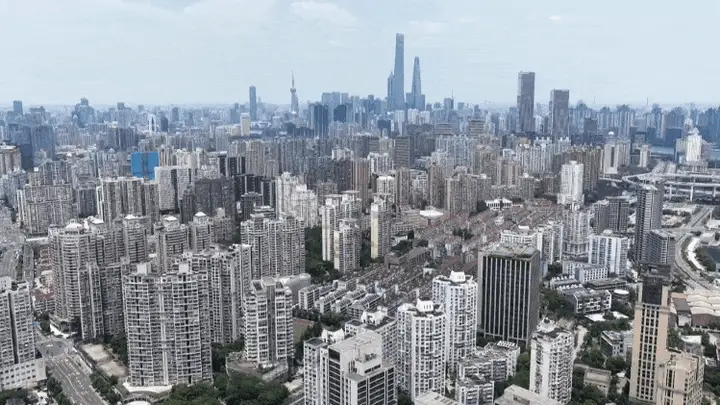 时政微纪录丨习近平总书记上海行