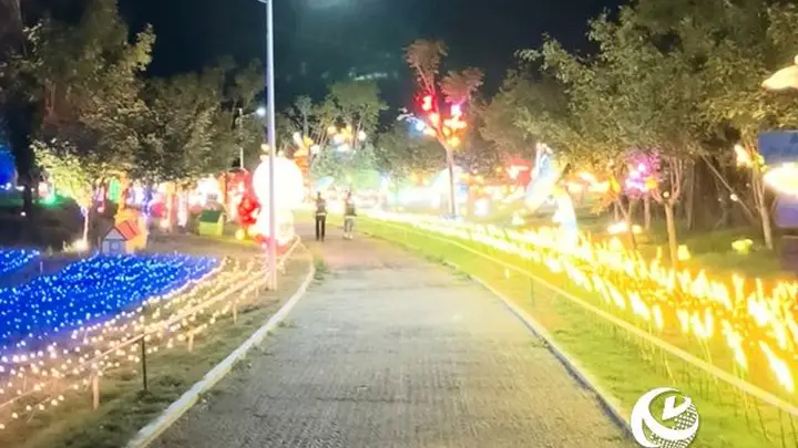 森语·园境智趣园夜间项目在驻马店正式启动