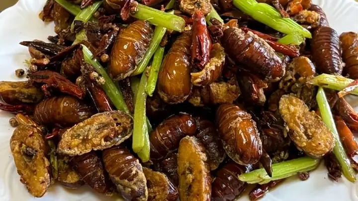 辽宁六大经典名菜|地道辽菜烟火味,量大实在、味醇地道