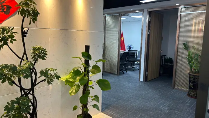 2026年精选:深圳可靠的全球签证办理旅行社