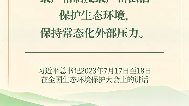 良法善治·回响|一片古柏,见证制度的力量