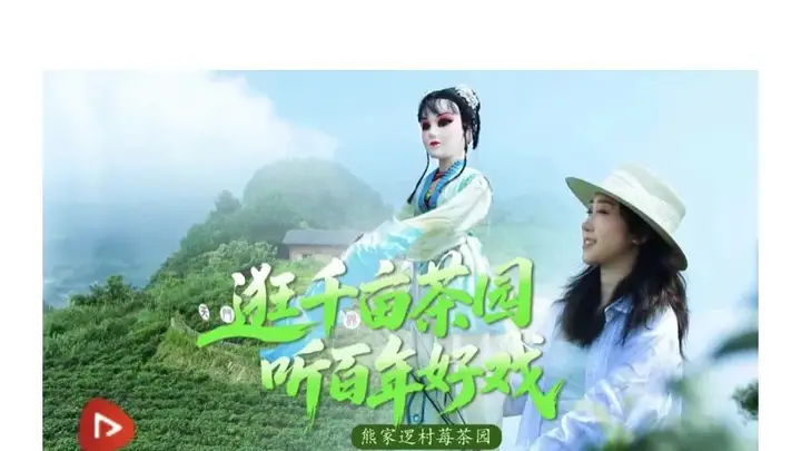 获央视网推介!永定区这几个莓茶园热度爆棚