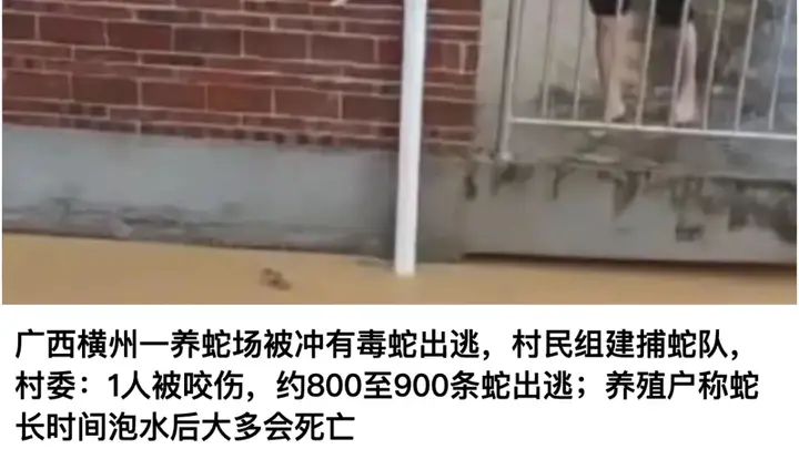 被文旅部通报点名后,壶口瀑布、稻城亚丁、武当山等多景区下调摆渡车收费价格