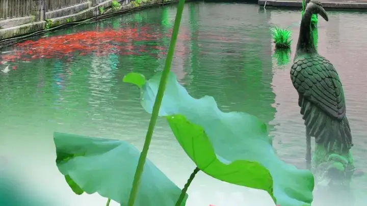 大暑至,山风凉|漫步滴水洞,觅一处山林清欢!