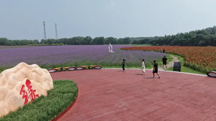 繁花盛放绘美景 满园锦绣入画来