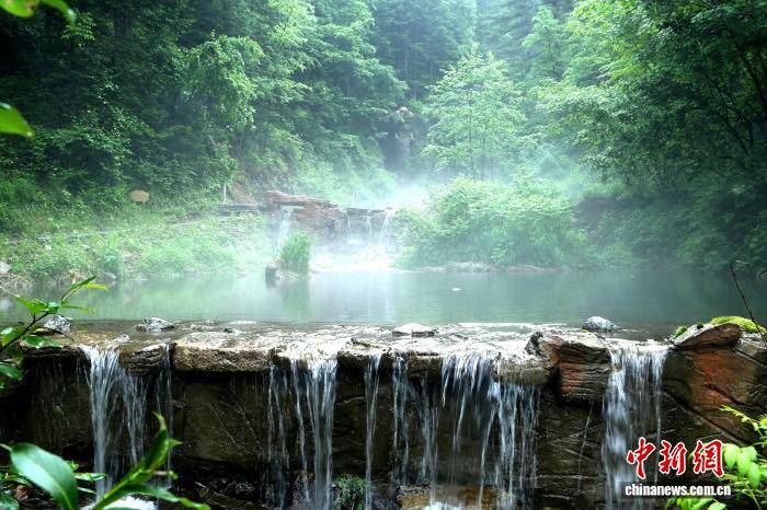 20℃清凉引客来 煤城鹤岗凭界江林海绘就避暑新图景