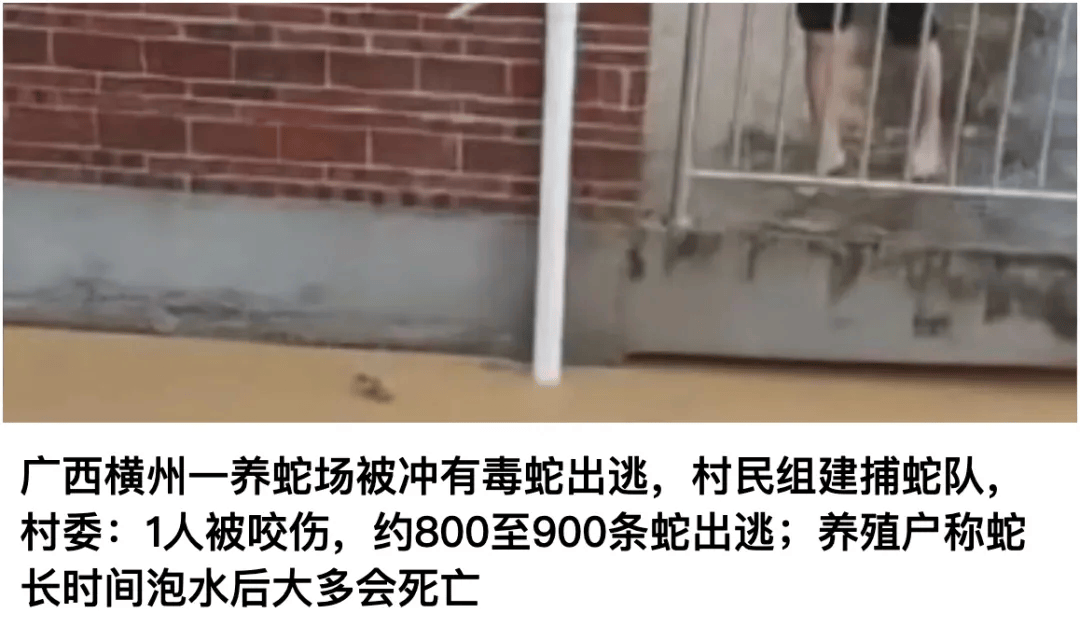 被文旅部通报点名后，壶口瀑布、稻城亚丁、武当山等多景区下调摆渡车收费价格
