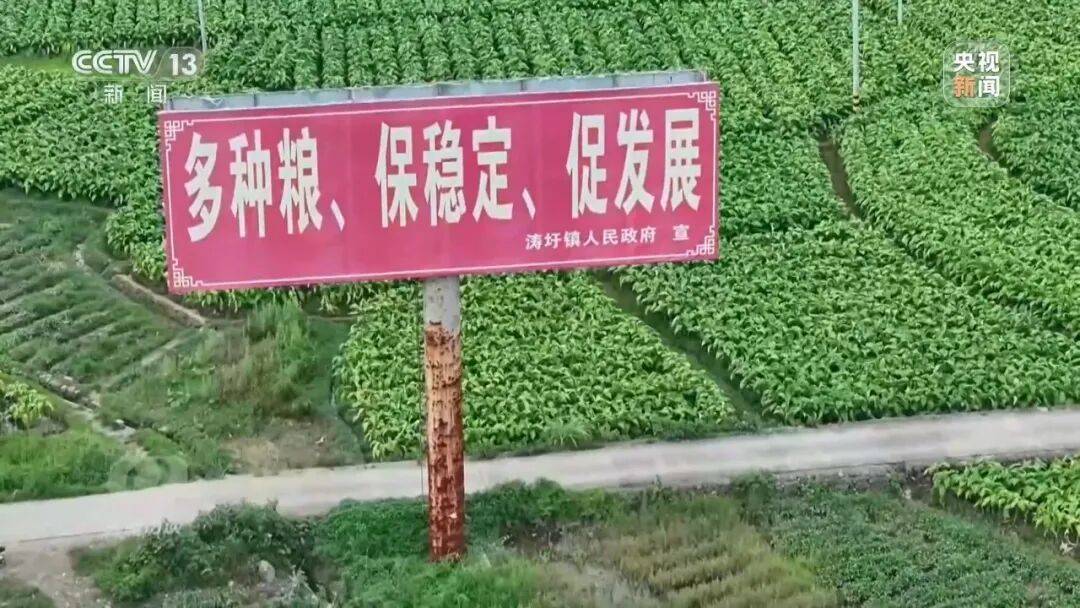 央视曝光：湖南江华县、镇、村三级应付检查，赤裸裸造假