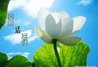 快入伏了,要多吃碱性菜!分享8道碱性凉拌菜做法,清热去燥安稳入伏!