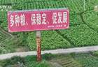央视曝光：湖南江华县、镇、村三级应付检查，赤裸裸造假