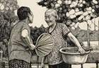 【村奢】中国乡村献给世界的礼物