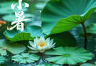 小暑饮食推荐：健脾化湿清心火，益气养阴消暑热