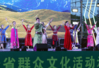 “金色蒲公英 美在黑龙江”全省群众文化活动示范展演在鹤岗上演