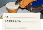 被冲毁的广西养蛇场，藏着500亿的大生意